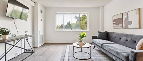 TV connectée, livres, espaces bureaux