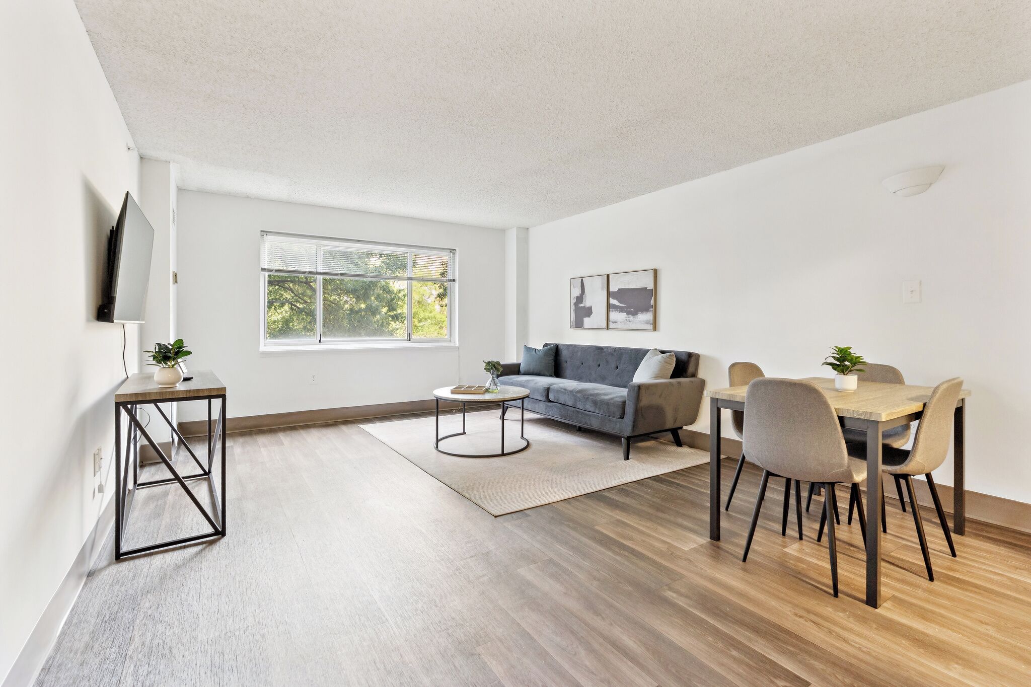 Legacy At Imperial Village 204 I 1 Bed 1 Bath - Richmond, VA