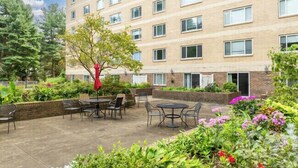 A courtyard with outdoor seating, a tree, and a building with multiple windows. - Legacy at Imperial Village 417 I 2 Bed 2 Bath (Ric hmond)