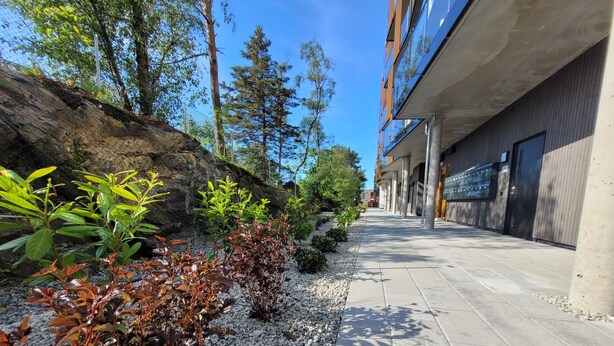 A pathway lined with plants and a building with a modern design. - New apartment 5min to airport at Kokstad train station (Vestland)