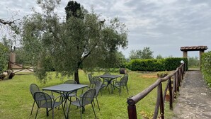 An outdoor seating area with tables and chairs, surrounded by olive trees and a stone pathway leading to a pergola.