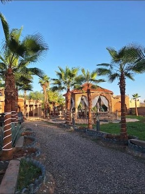 A pathway leading to a traditional building with arches, surrounded by palm trees and a clear sky.