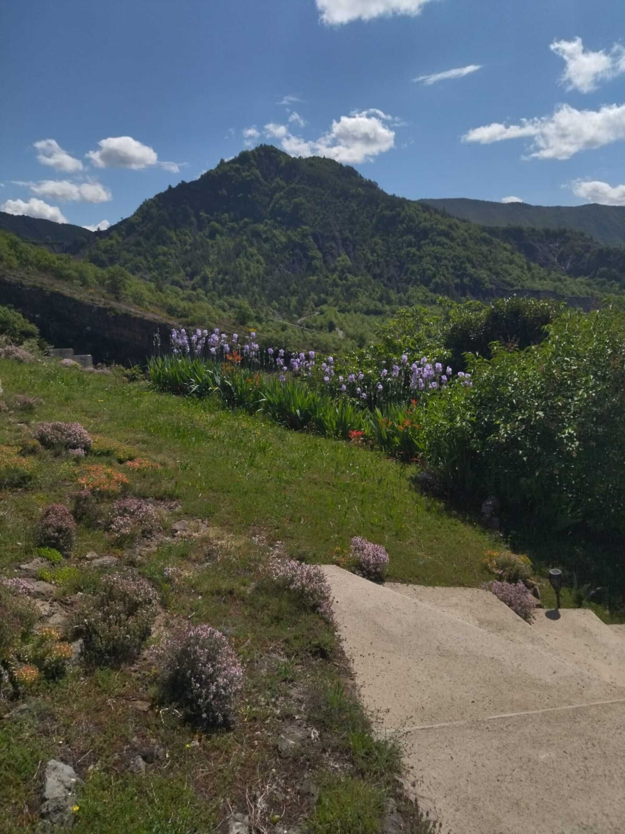 Overnatningsstedets område