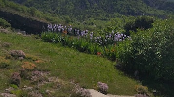 Overnatningsstedets område