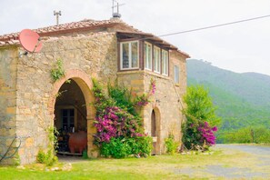 Esterni