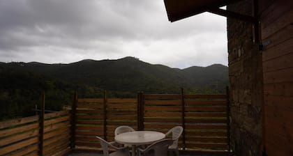 Apartment 'In Casale Toscano' with Private Garden, Wi-Fi and Air Conditioning