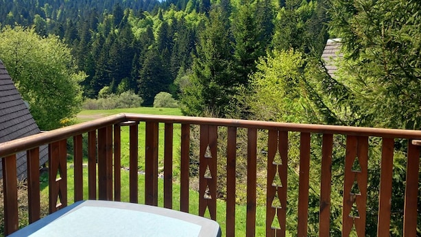 Un terrazza in legno con vista su un pendio boschivo.
