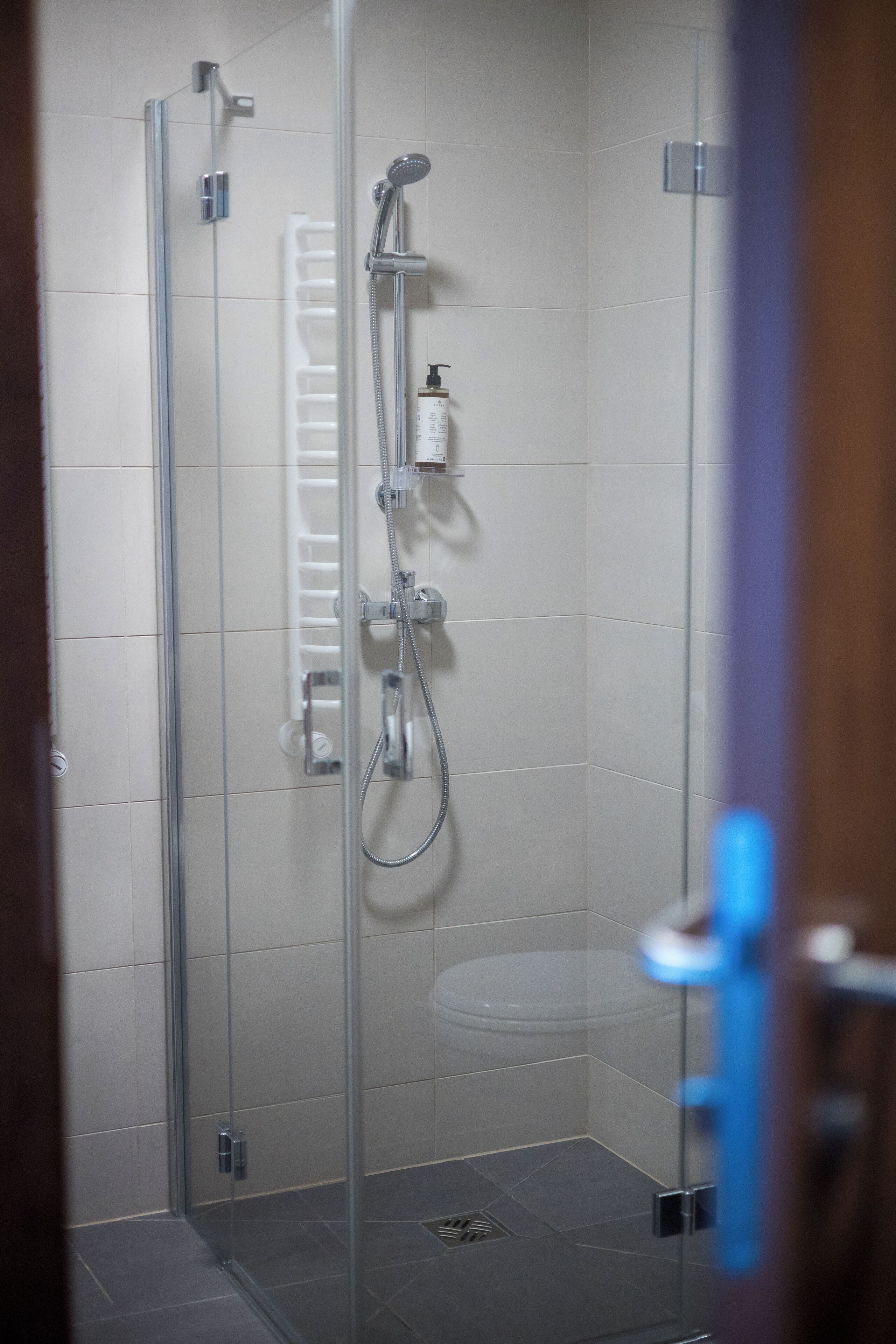 Une cabine de douche fermée par des parois en verre, dotée d’un pommeau de douche à main, d’un robinet mural et d’un distributeur de savon.