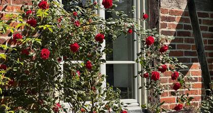 Apartment 'Lemon Attic' with Shared Terrace, Shared Garden and Wi-Fi