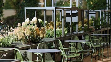 Terassi/patio