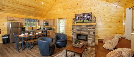 TV, fireplace, DVD player, ping pong