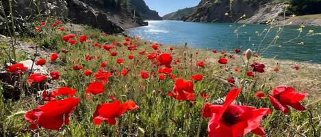 Spiaggia