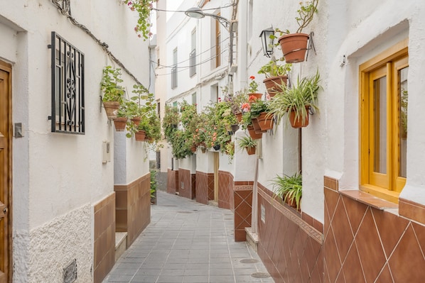 A narrow alleyway with white walls, terracotta tiles, and hanging planters with various plants.