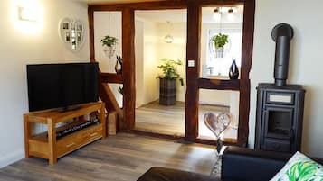 Fernseher, Stereoanlage