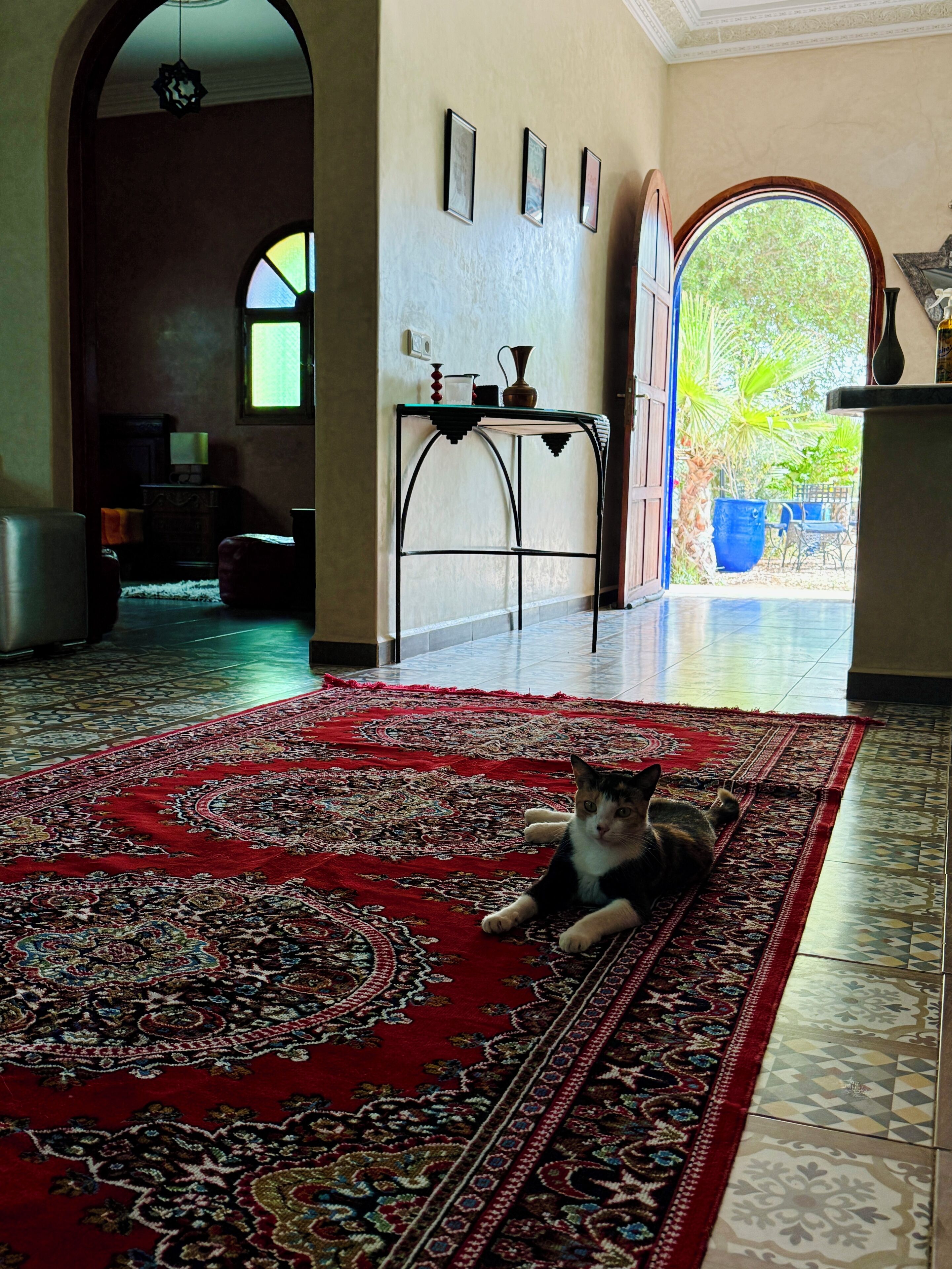 A spacious room with a large patterned rug, a cat lying on it, and a view of the outdoors through a large arched doorway.