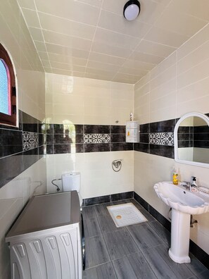 Bidet, towels, soap, toilet paper