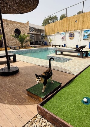 Un gato caminando sobre una plataforma verde cerca de una piscina, con un muro de piedra y una valla de madera al fondo.