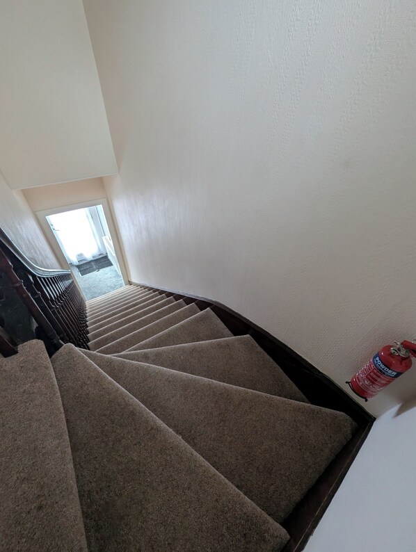 Un escalier recouvert de moquette, avec un extincteur fixé au mur.