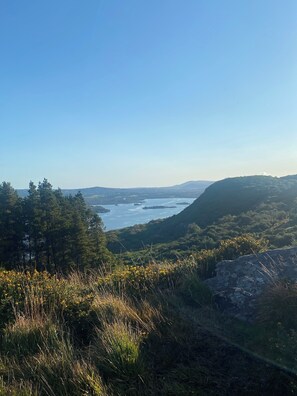 Miscellaneous - Hayfield View Charming 2-bedroom cottage in beautiful Beaufort, Killarney, WIFI (Killarney)