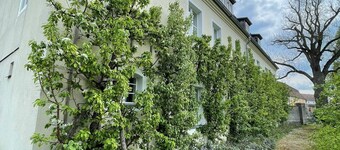 Vacation apartment Minkwitz in the nursery house in Fürstlich Drehna