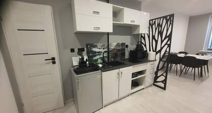 Komfortowy Apartament u Baltazara