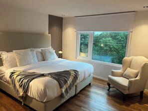 Room - Arquimedes Bright Spacious 2bdr Apt in Polanco (Mexico City)