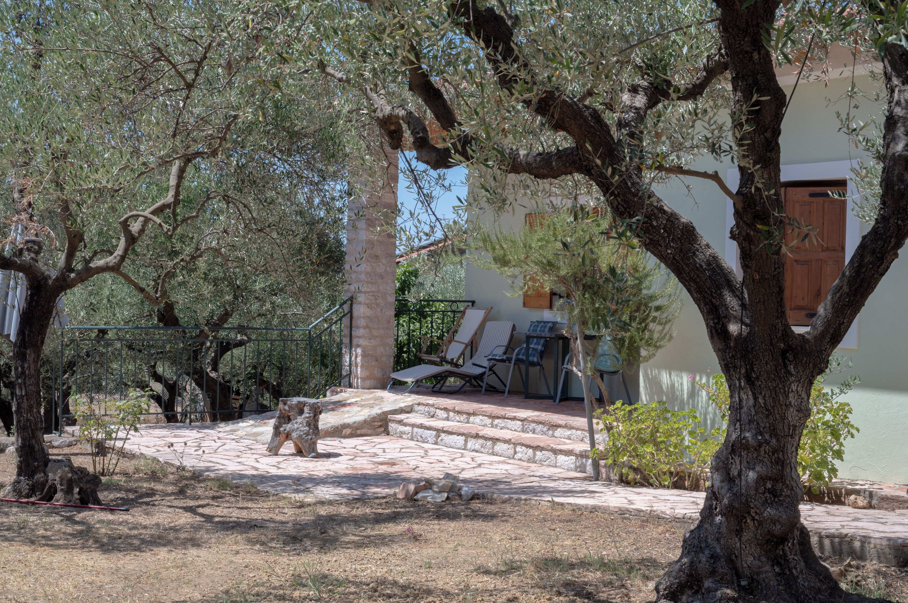 A courtyard with stone steps leading to a covered seating area, surrounded by olive trees and a building with a wooden door.