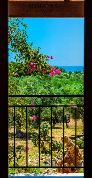 Vista desde la propiedad
