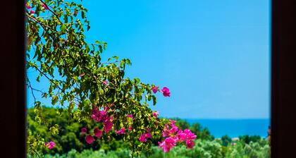 Terra Ionian