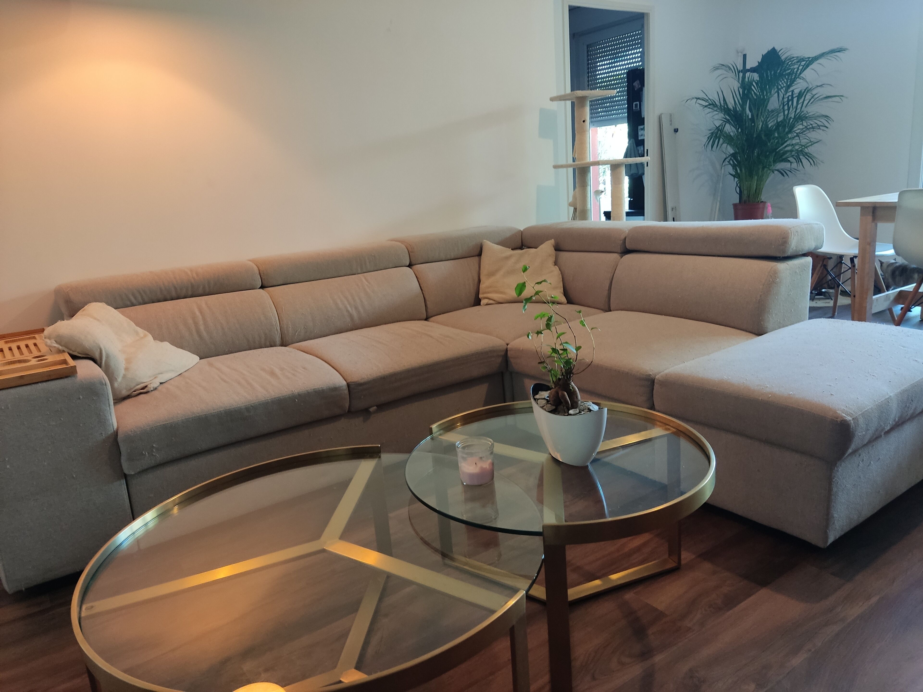 A modern living room with a sectional sofa, a glass coffee table, and a potted plant.