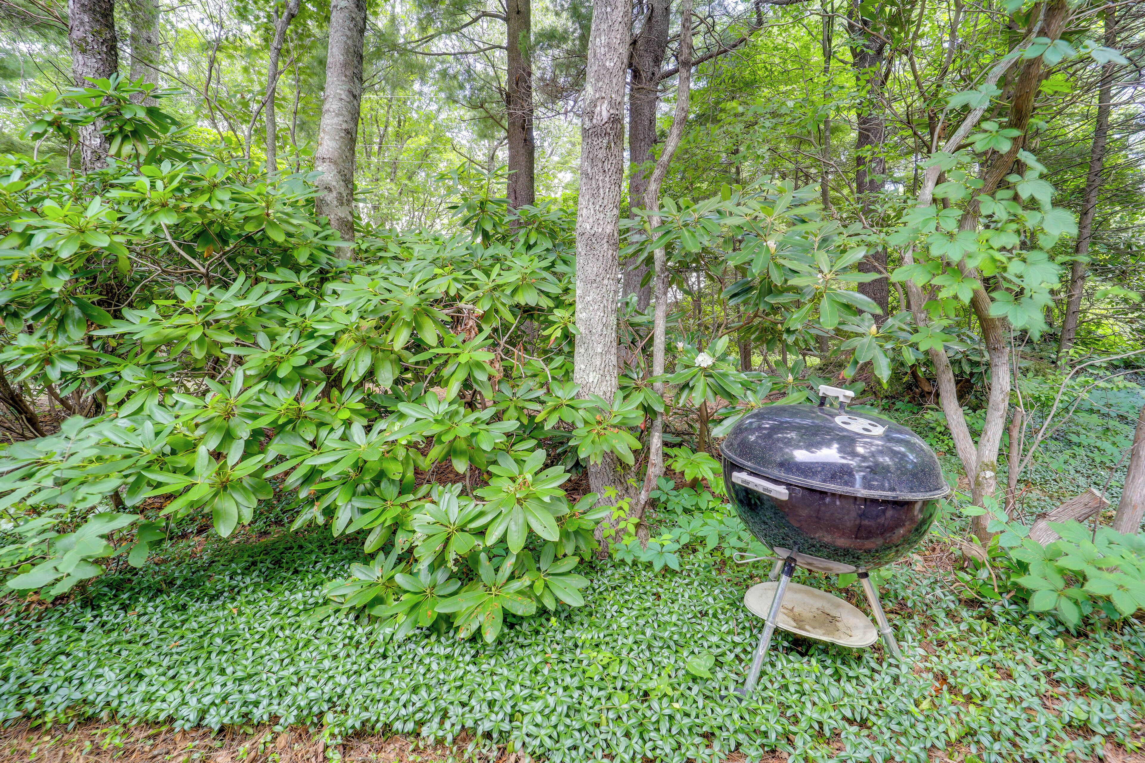A forest with a black barbecue grill on a stand.