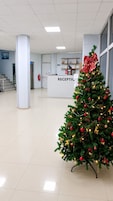 Recepción