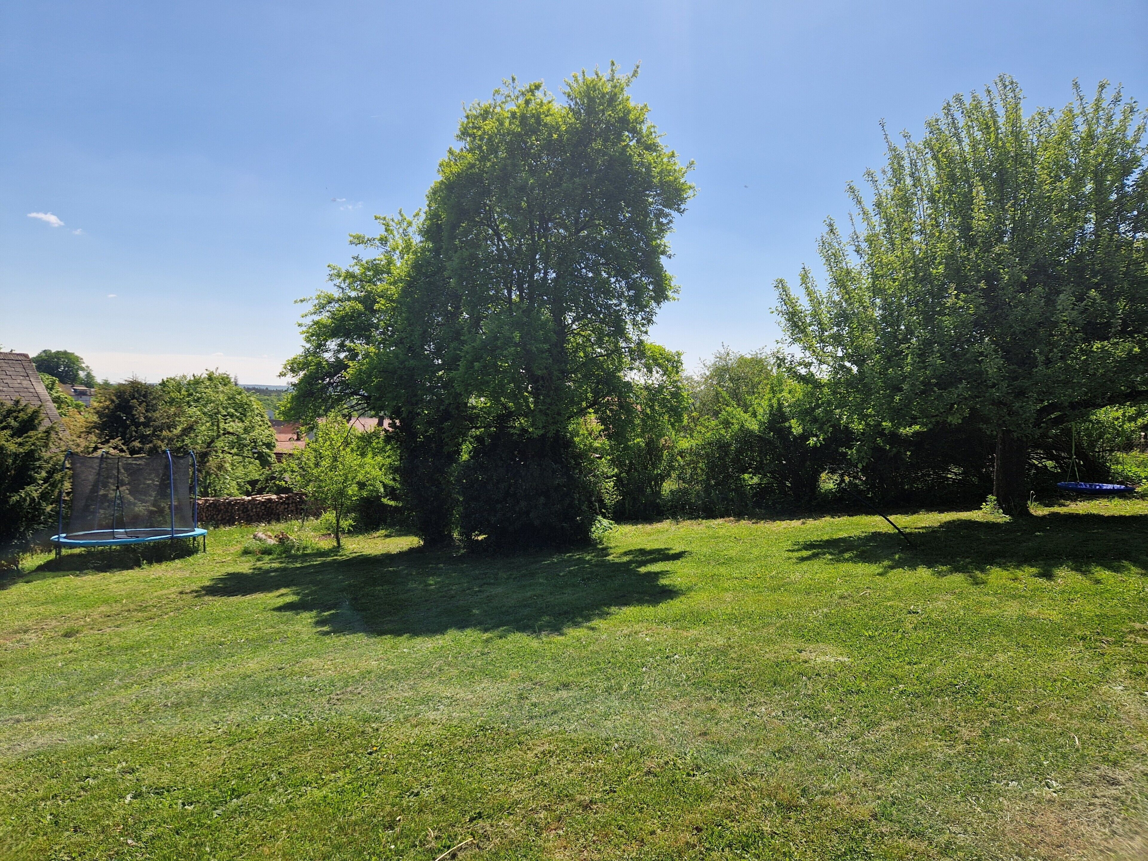 A grassy outdoor area with a trampoline and trees.