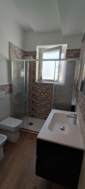 Shower, hair dryer, bidet, towels