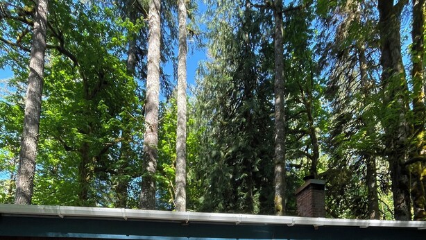 Terrace/patio - Riverside restored historic cabin with Wifi (Mount Hood Village)