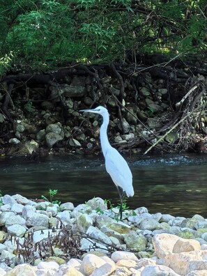 Apartment, 1 Bedroom, Smoking, Balcony | Miscellaneous - Nina House Charming Prevlaka Apartment With Nature Views (Prevlaka)