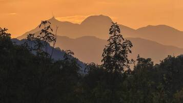 Apartment, 1 Bedroom, Smoking, Balcony | Miscellaneous