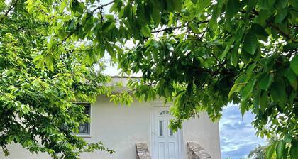 Nina House Charming Prevlaka Apartment With Nature Views