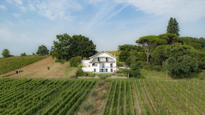 A large white house with a balcony, surrounded by vineyard rows, with trees and hills in the background.