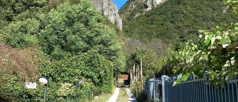 Apartment, 1 Bedroom, Mountain View | Garden