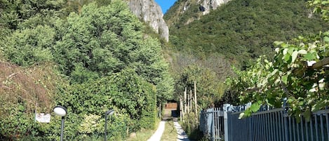 Apartment, 1 Bedroom, Mountain View | Garden