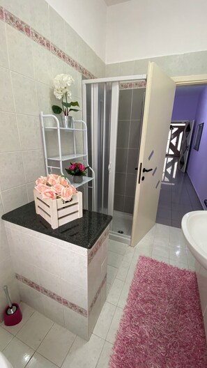Shower, hair dryer, bidet, towels