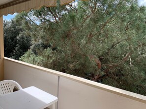 Apartment, 2 Bedrooms, Balcony | Balcony - Beautifully Renovated Flat With Shared Pool (Rosolina)