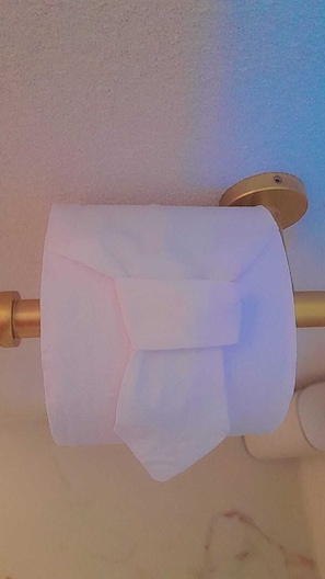 A toilet paper roll mounted on a wall.