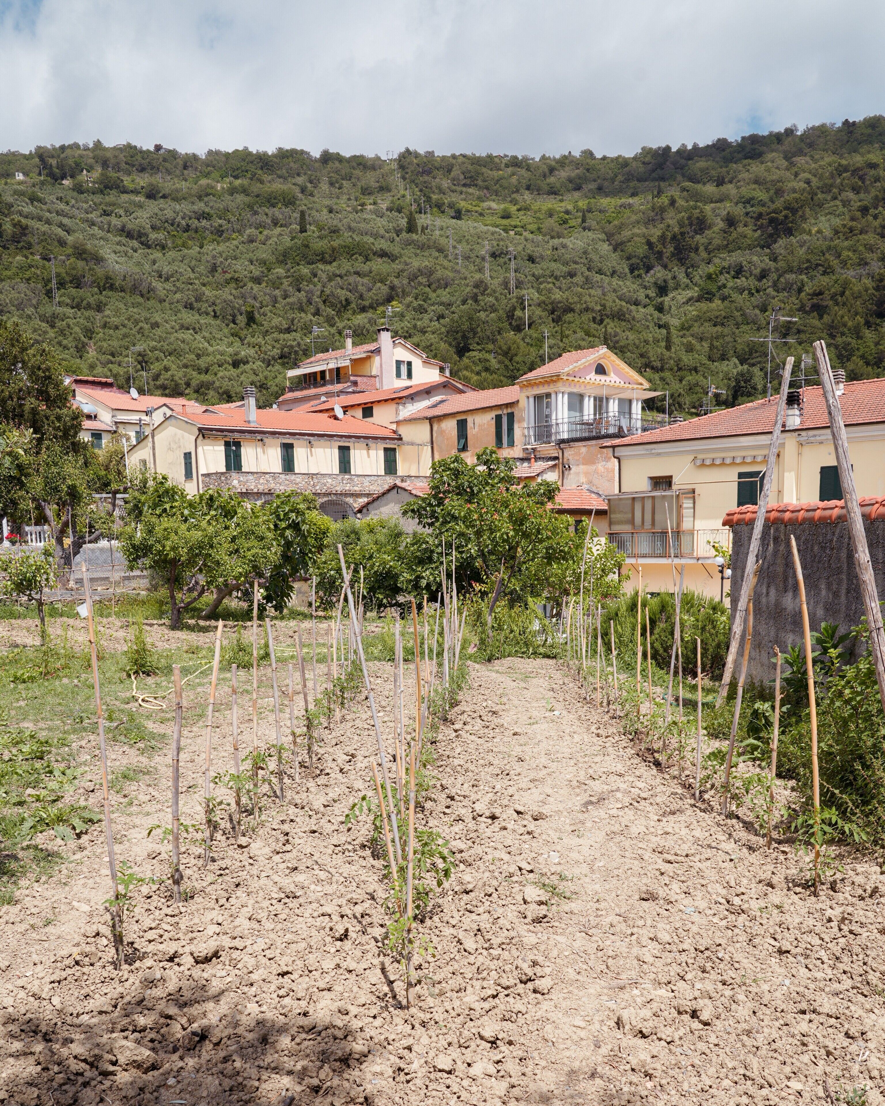 Un village rural avec des bâtiments traditionnels, un chemin de terre et une colline en arrière-plan.