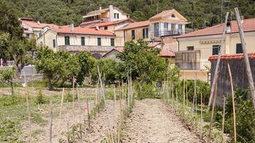 A rural village with traditional buildings, a dirt path, and a hillside in the background.