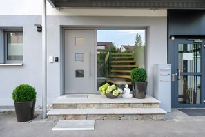 Une entrée moderne avec une porte, des marches et des plantes en pot.