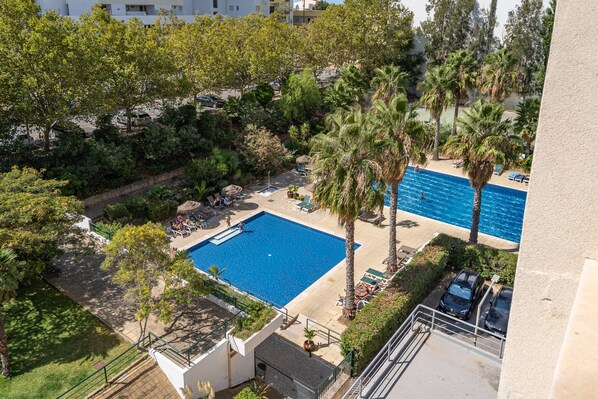 Ein Pool auf dem Dach mit Palmen, Liegestühlen und Blick aufs Meer.