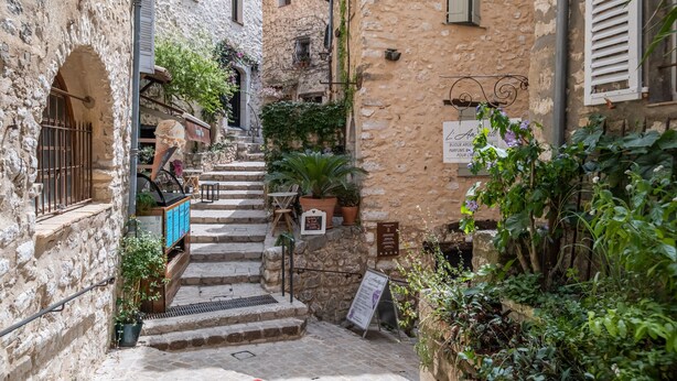 Une ruelle étroite bordée d’immeubles en pierre, avec un escalier et des plantes en pot.