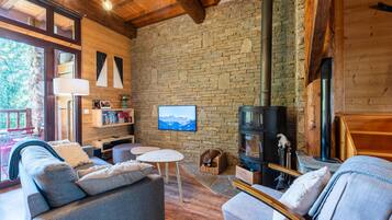 Televisión, chimenea, reproductor de DVD y estéreo